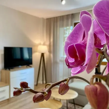Centre Bright & Cozy For 4 Persons Apartment