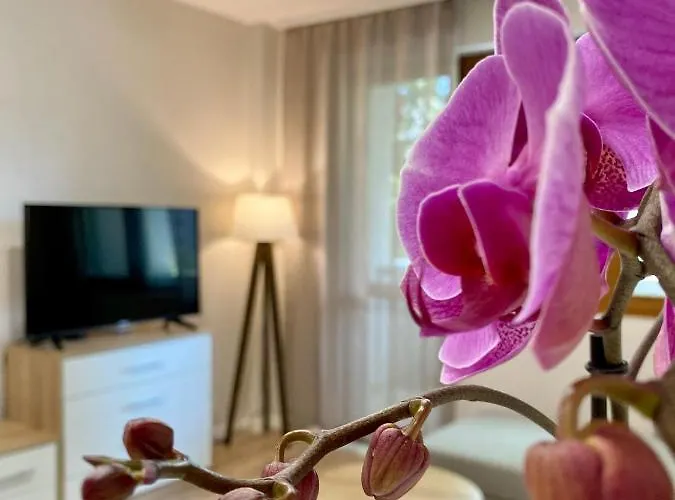 Centre Bright & Cozy For 4 Persons Lejlighed